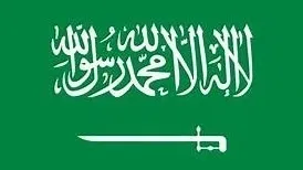 Green flag with white sword design
