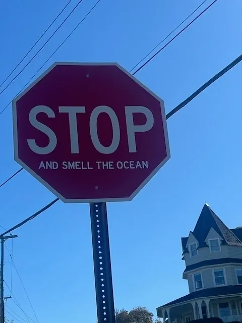 Red stop sign near house
